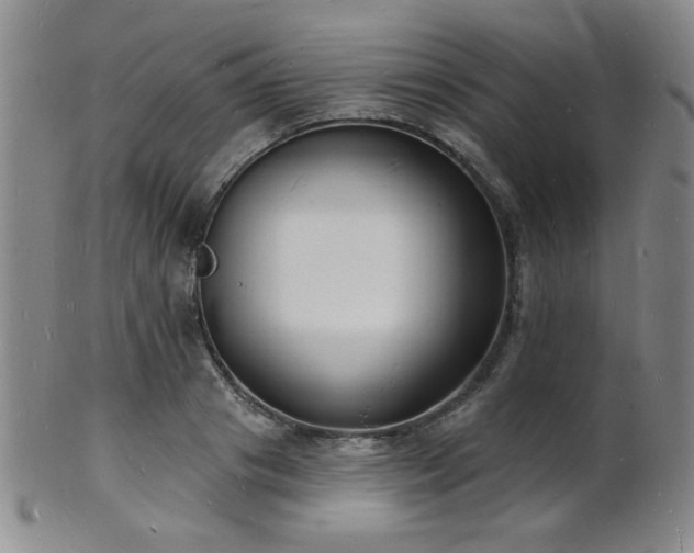 X0000101690841200807101511