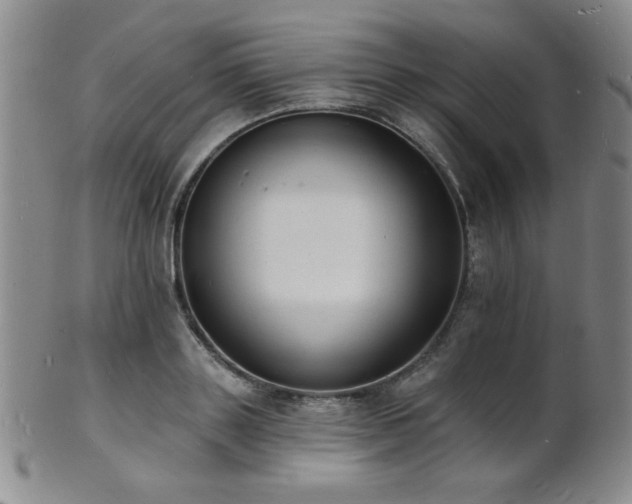 X0000101690843200807101511