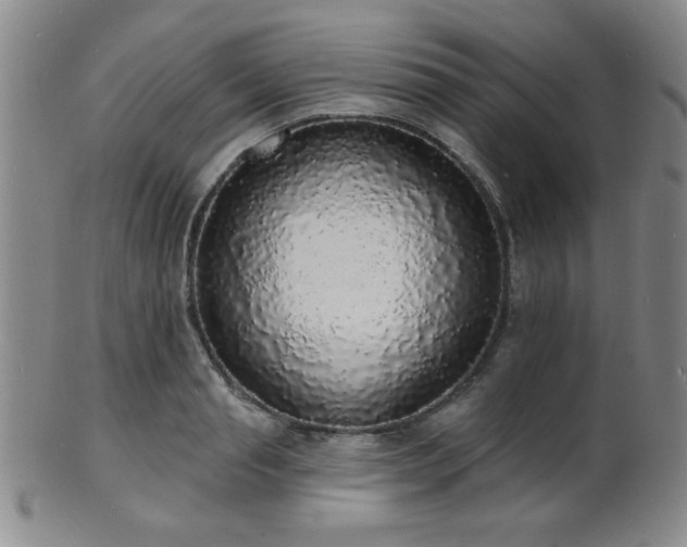 X0000101690845200807101511