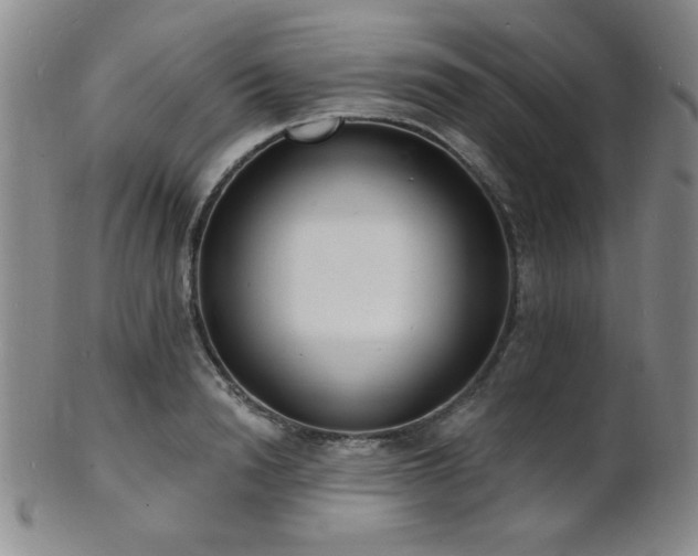 X0000101690846200807101511