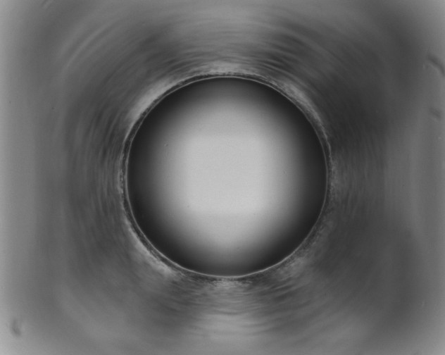 X0000101690847200807101511