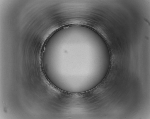 X0000101690848200807101511