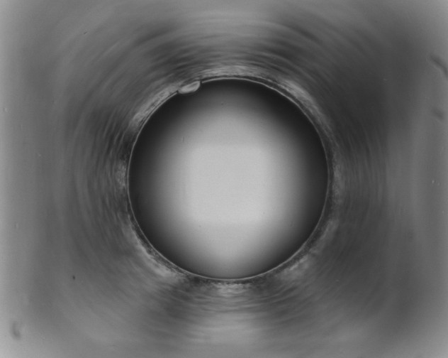 X0000101690849200807101511