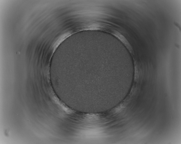 X0000101690850200807101511