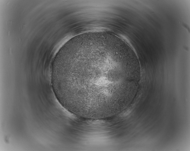 X0000101690851200807101511