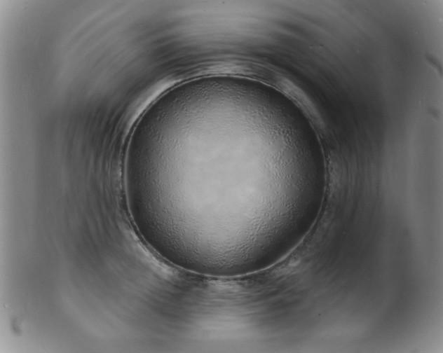 X0000101690852200807101511