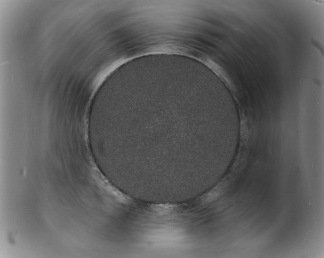 X0000101690854200807101511