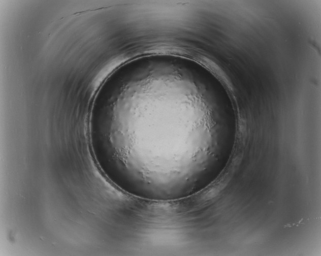 X0000101690855200807101511