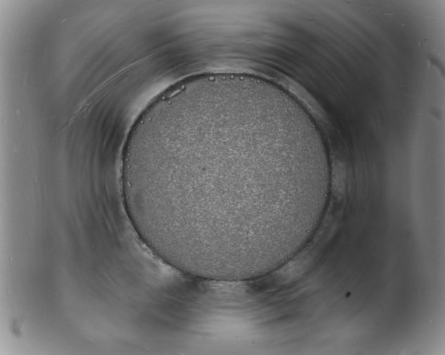 X0000101690856200807101511