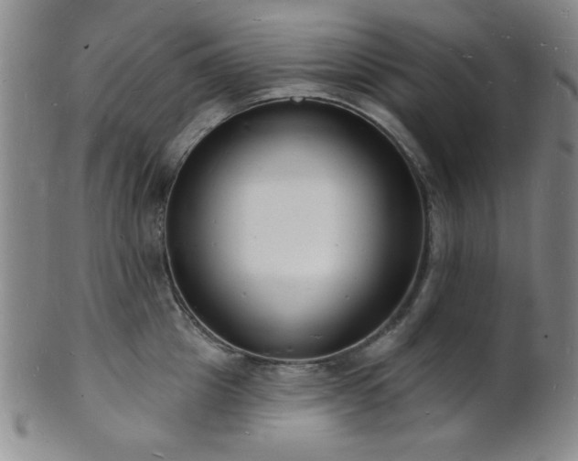 X0000101690857200807101511