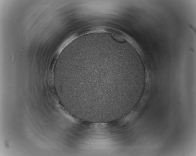 X0000101690858200807101511