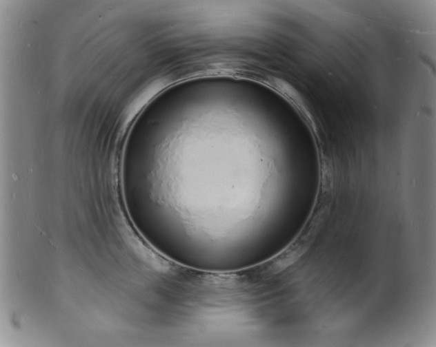 X0000101690859200807101511