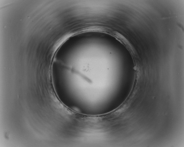 X0000101690860200807101511