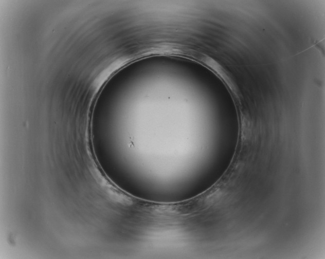 X0000101690861200807101511