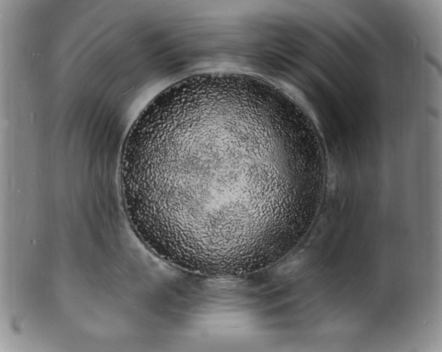 X0000101690863200807101511