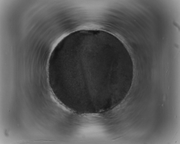 X0000101690864200807101511