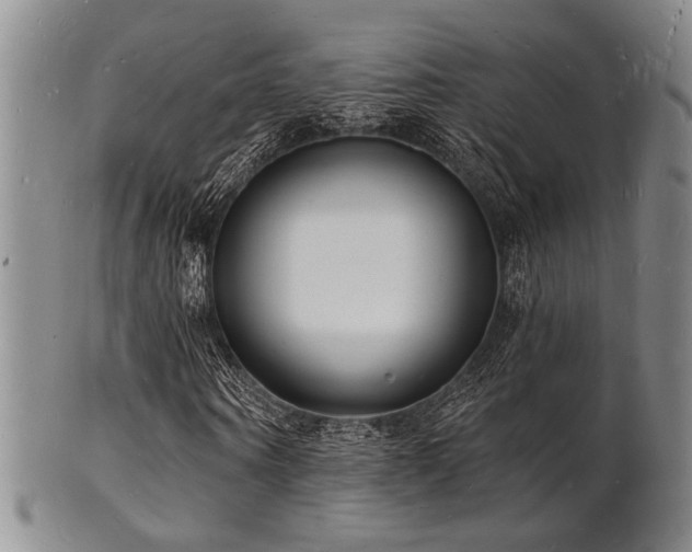 X0000101690866200807101511