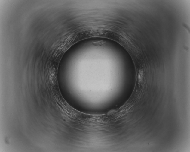 X0000101690867200807101511