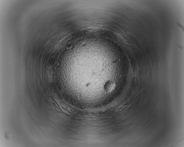 X0000101690868200807101511