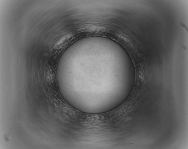 X0000101690869200807101511