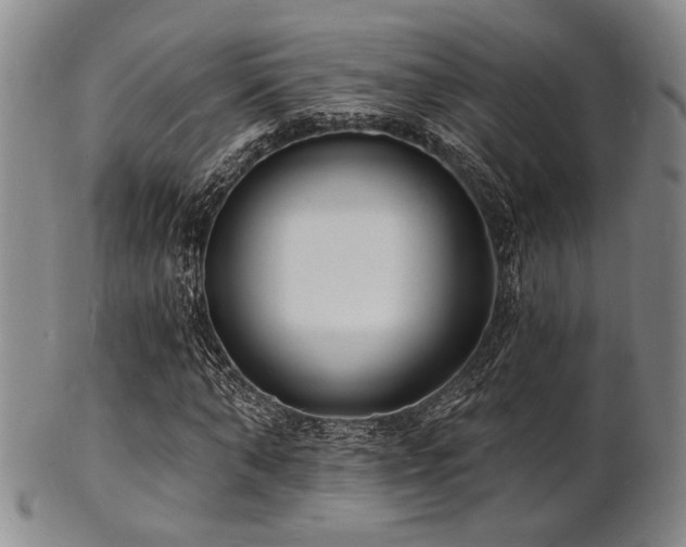 X0000101690870200807101511