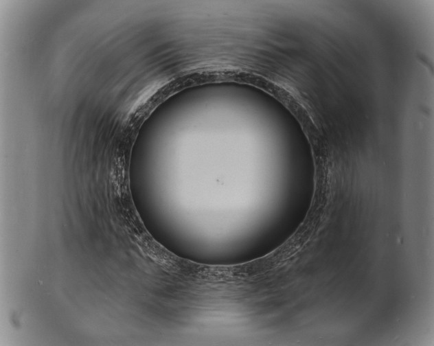 X0000101690871200807101510