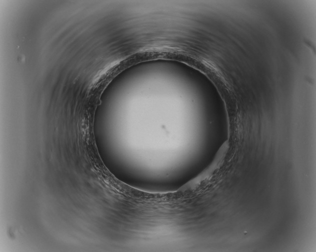 X0000101690872200807101510