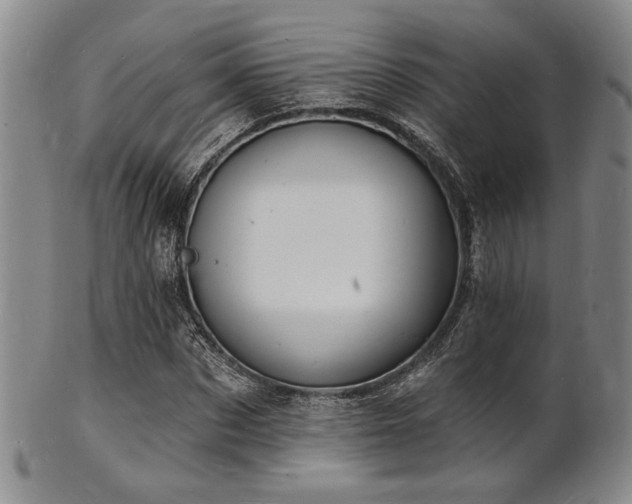 X0000101690873200807101510