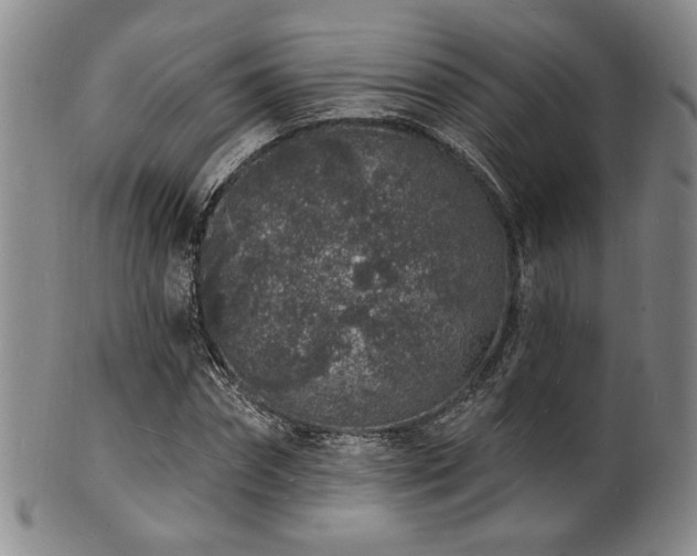 X0000101690874200807101510