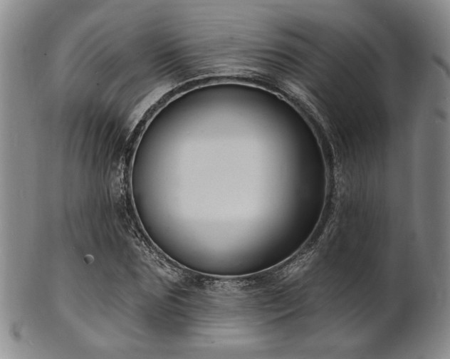 X0000101690875200807101510