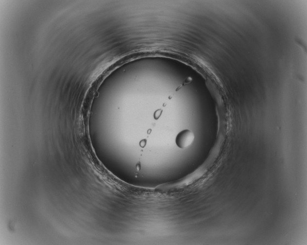 X0000101690876200807101510