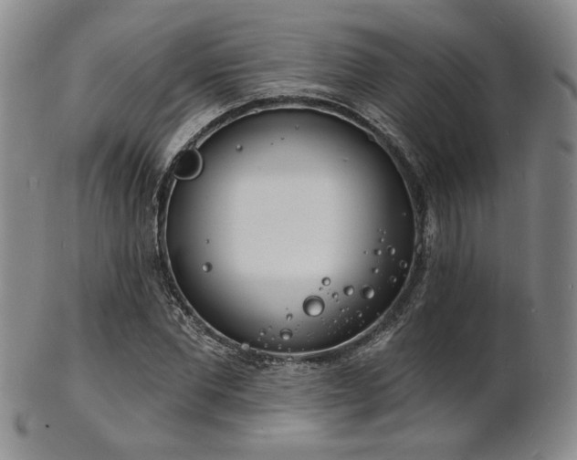 X0000101690877200807101510