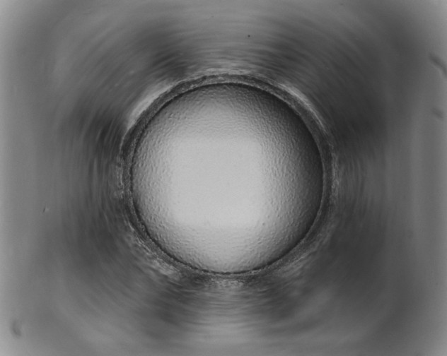 X0000101690878200807101510