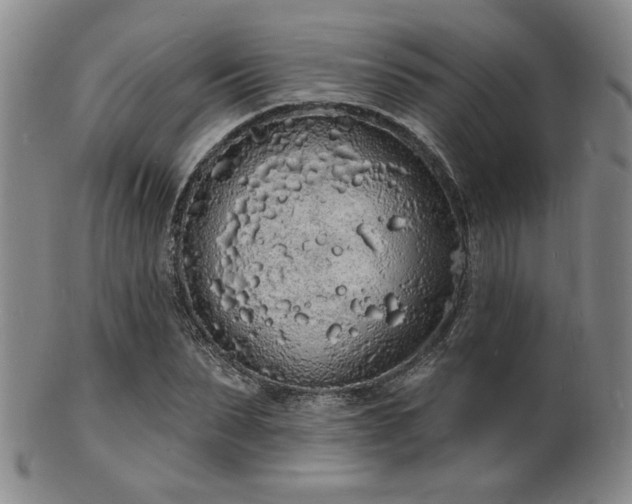 X0000101690879200807101510