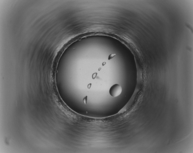 X0000101690880200807101510