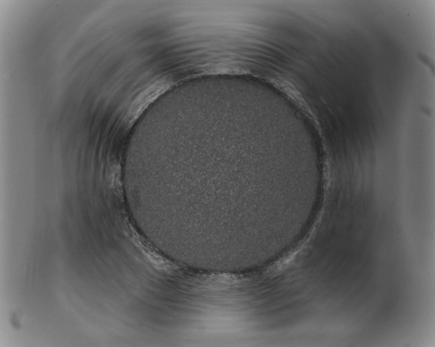 X0000101690881200807101510