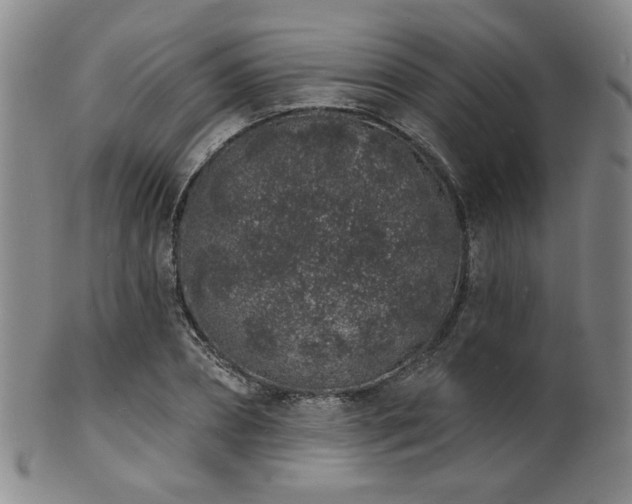 X0000101690882200807101510