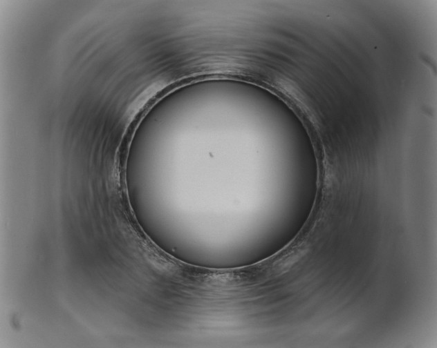 X0000101690883200807101510