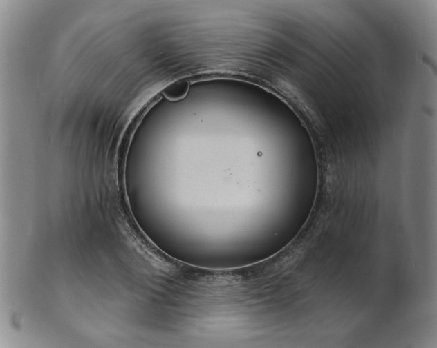 X0000101690884200807101510