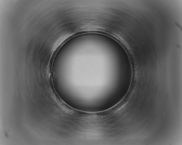 X0000101690885200807101510