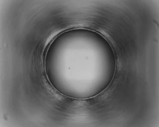 X0000101690886200807101510