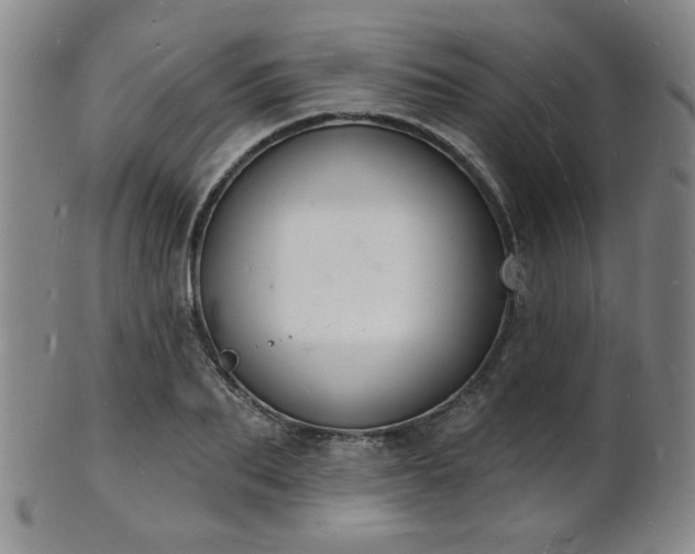 X0000101690887200807101510