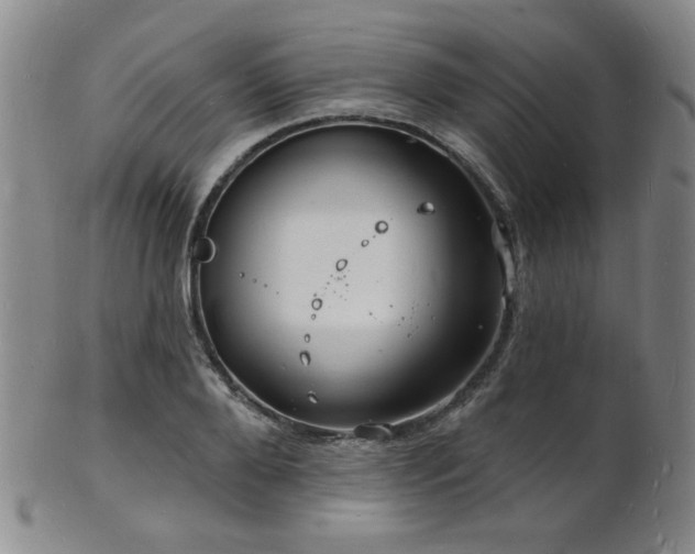 X0000101690888200807101510