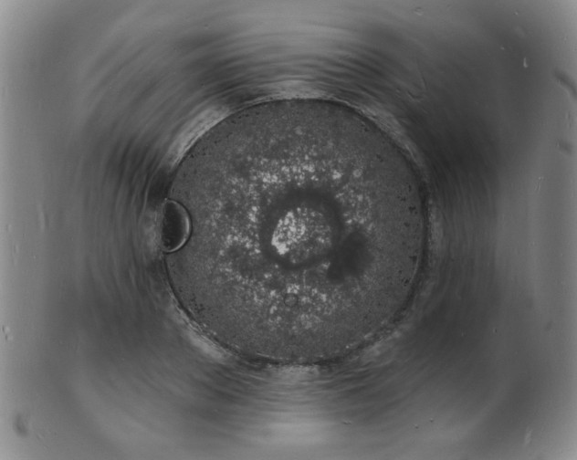 X0000101690889200807101510