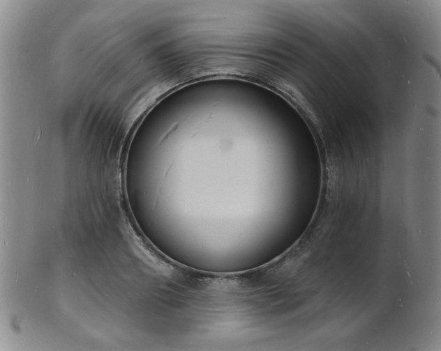 X0000101690890200807101510