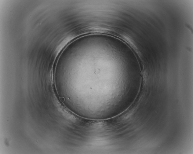 X0000101690891200807101510