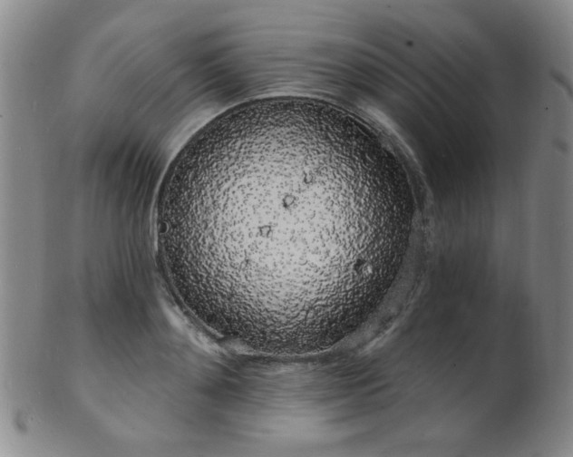 X0000101690892200807101510