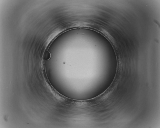 X0000101690893200807101510