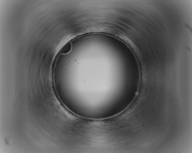 X0000101690894200807101510