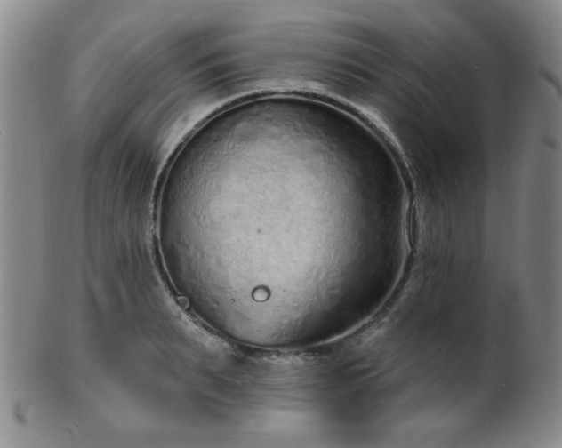 X0000101690895200807101510